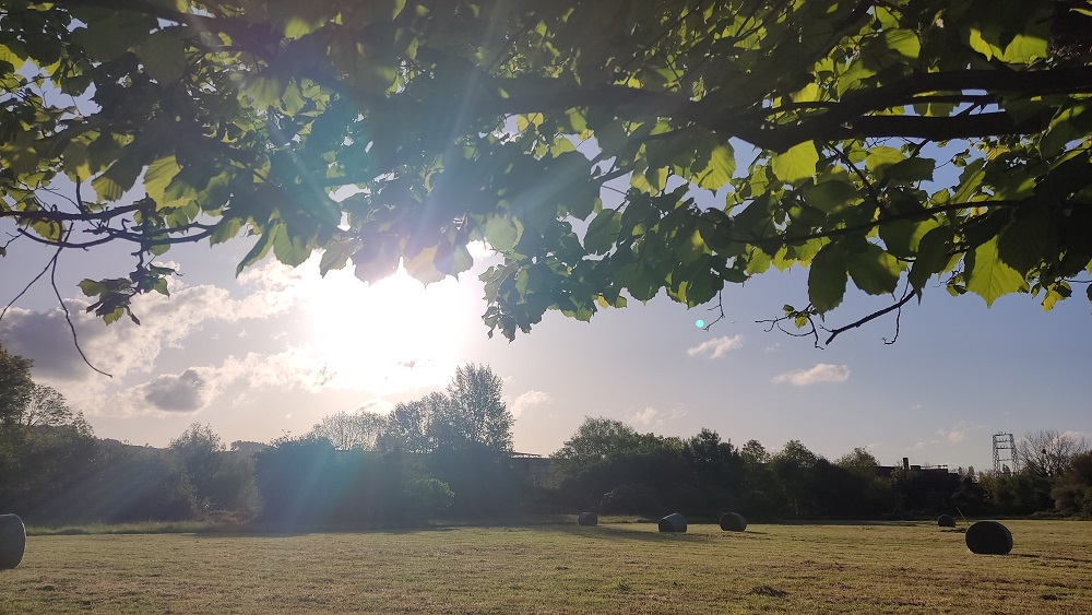 Las temperaturas máximas subirán y alcanzarán los 13-16 ºC