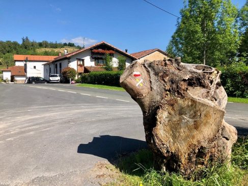 ARGAZKIA: Mendaroko Udala