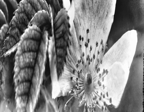 Urriaren 23tik azaroaren 3ra egongo da ikusgai Ibon Rokandioren erakusketa